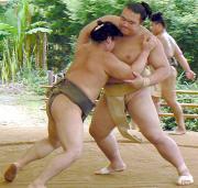 ぶつかりげいこで若い衆に胸を出す稀勢の里（右）（撮影・柳田通斉）