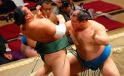 霧の若(左)を押し出す磋牙司(撮影・中島郁夫)