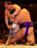 磋牙司、幸運２勝五分／夏場所 - 大相撲ニュース
