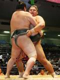 駿河司が全勝対決勝ちＶ前進／名古屋場所 - 大相撲ニュース