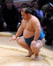 普天王が休場のため６連勝を飾った磋牙司