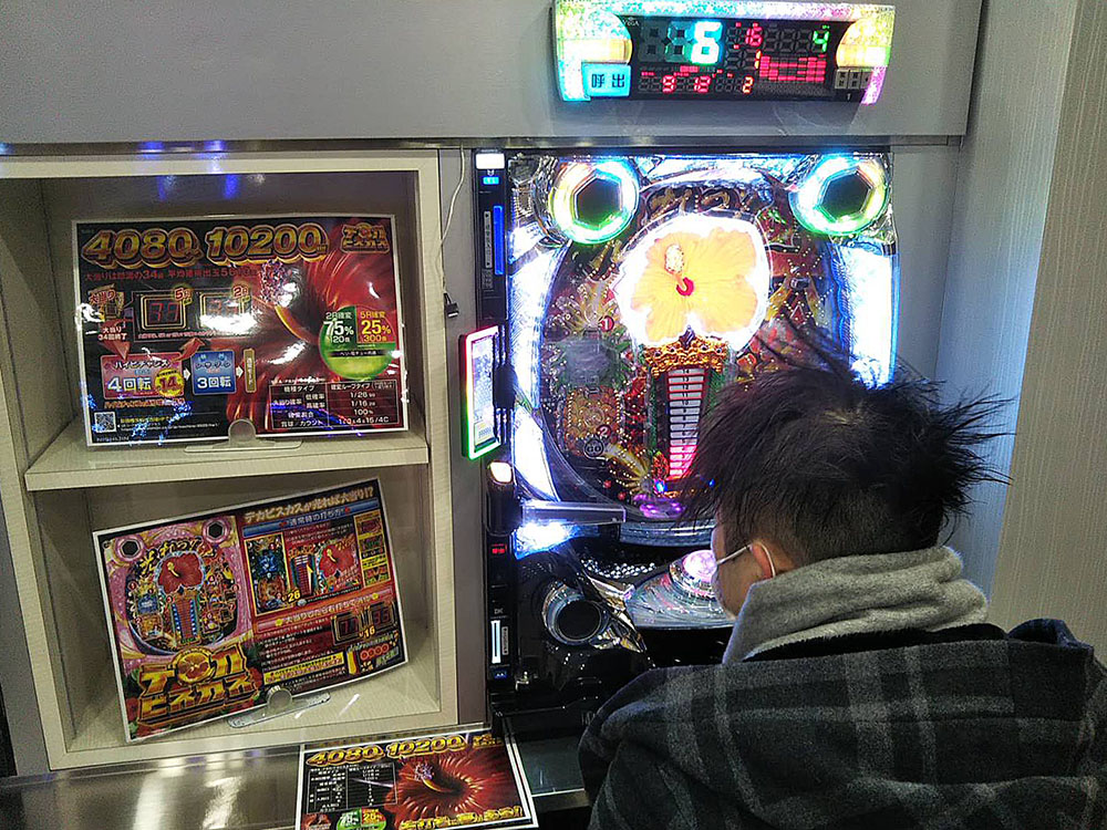 西陣が開催した「Pデカビスカス」の内覧会の様子
