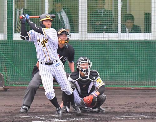 侍ジャパン稲葉監督(右奥)が見守る中、鳥谷はシート打撃で左中間二塁打を放つ(撮影・上田博志)