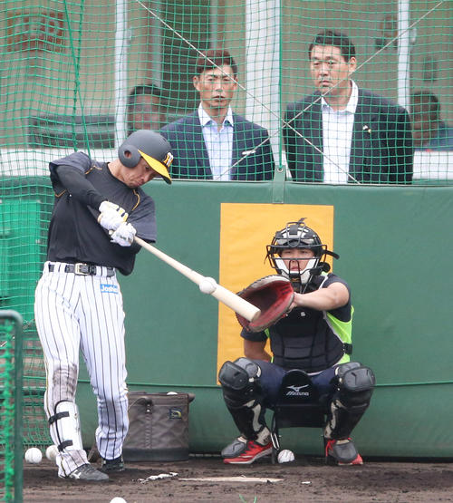 近本の打撃を見る左から本紙評論家の桧山氏、広沢氏（撮影・上山淳一）