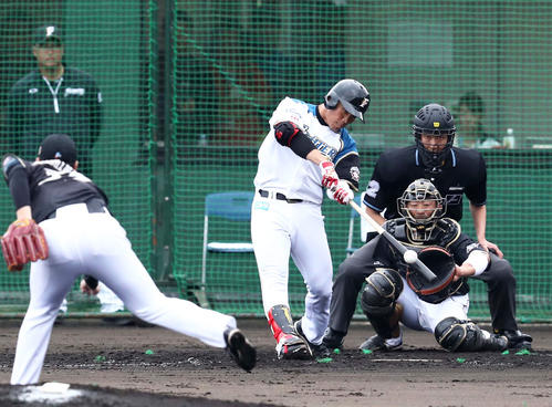 日本ハム紅白戦　4回裏無死、中越えに本塁打を放つ王柏融（撮影・黒川智章）