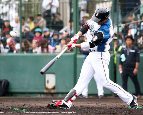 日本ハム紅白戦　4回裏白組無死、本塁打を放つ王柏融（撮影・井上学）