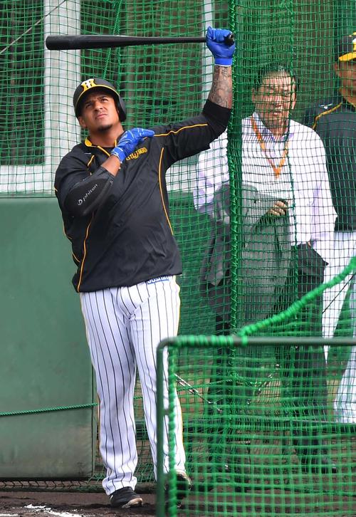梨田氏のチェックを受けながらフリー打撃をするマルテ(撮影・上田博志)