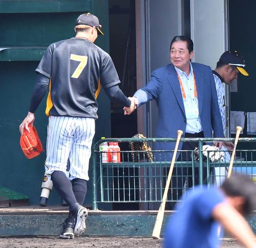 阪神キャンプを訪問し糸井（左）と握手を交わす梨田本誌評論家（撮影・上田博志）