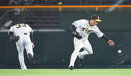 阪神対巨人　8回表巨人2死三塁、小林誠司の飛球をエラーする近本（右）、左は糸原（撮影・奥田泰也）