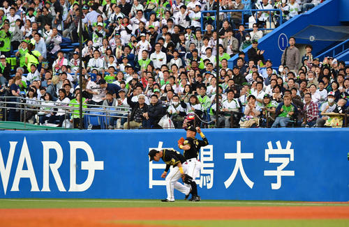 ヤクルト対阪神　1回裏ヤクルト無死、青柳の一塁悪送球でフェンス際に転がるボールを追い、送球する糸井。左は糸原（撮影・清水貴仁）