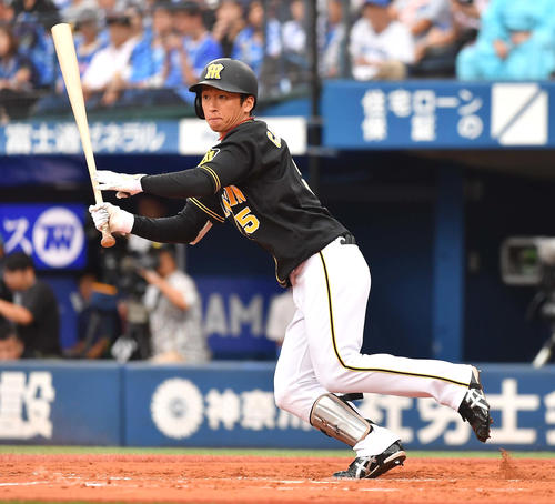 阪神近本光司（2019年9月28日撮影）