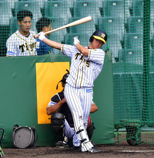 フリー打撃を行う近本光司（撮影・清水貴仁）