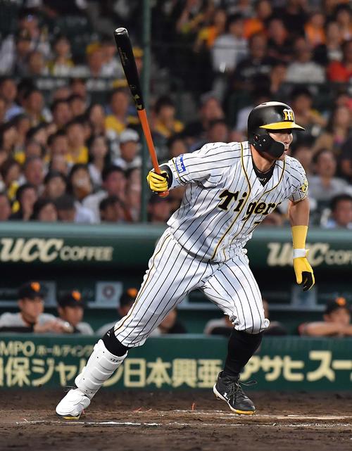 阪神糸井（19年撮影）