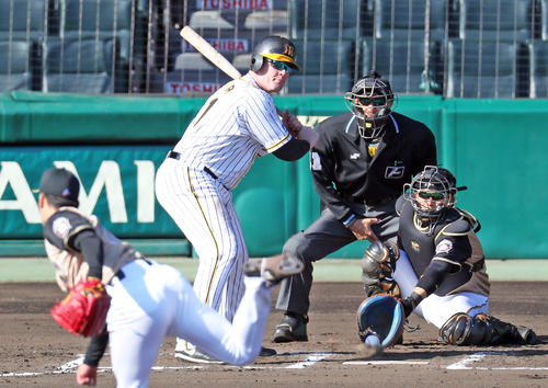 6回裏阪神無死、四球を選ぶボーア。投手吉田輝（撮影・前田充）