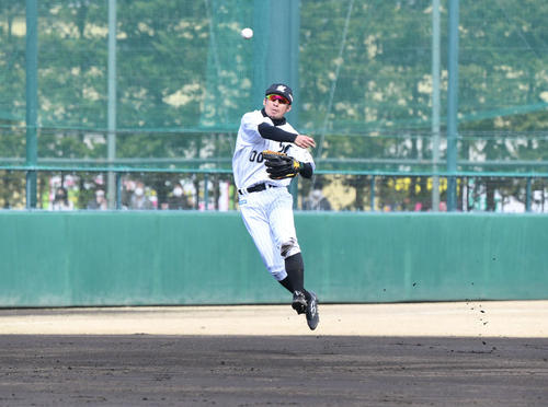 ロッテ対巨人　4回表巨人無死、若林の遊ゴロを捕球した鳥谷は一塁へジャンピングスロー（撮影・山崎安昭）