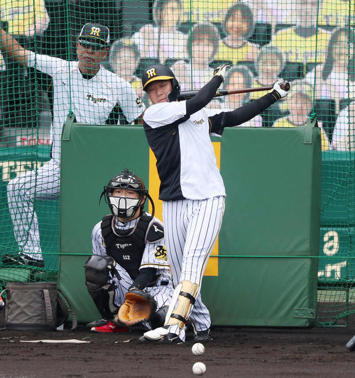 打撃練習する大山（撮影・加藤哉）