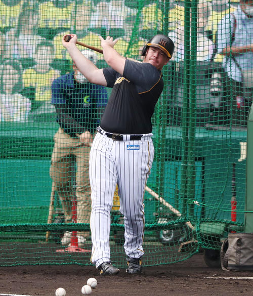 打撃練習を行うボーア（撮影・加藤哉）