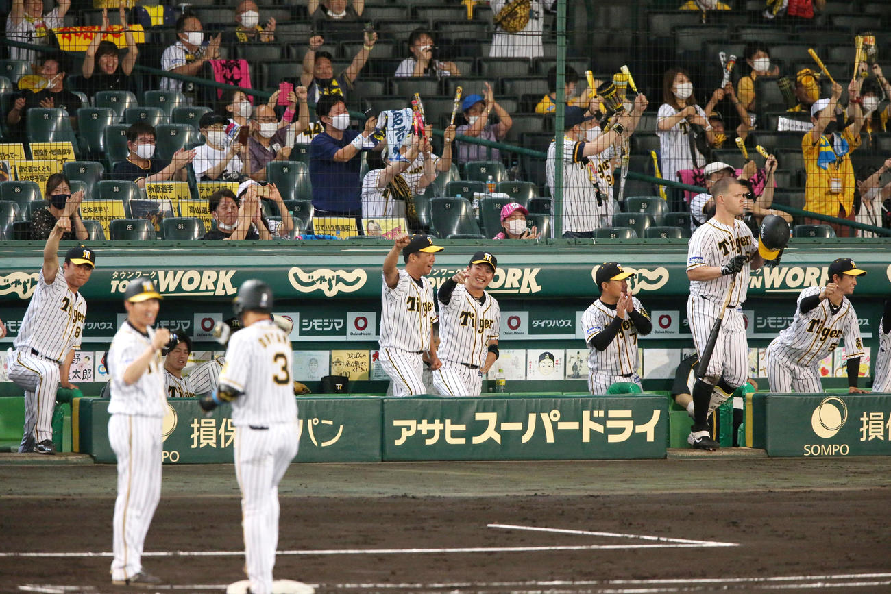 阪神対DeNA　6回裏阪神2死二塁、大山悠輔の先制左前適時打に盛り上がる阪神ベンチ（撮影・上山淳一）