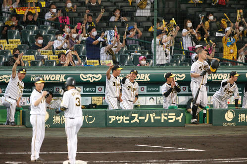 阪神対DeNA　6回裏阪神2死二塁、大山悠輔の先制左前適時打に盛り上がる阪神ベンチ（撮影・上山淳一）