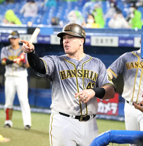ヤクルト対阪神　2回表阪神2死満塁、ボーアは右越え満塁本塁打を放ちグラウンドのナインに向かって指をさす（撮影・加藤哉）