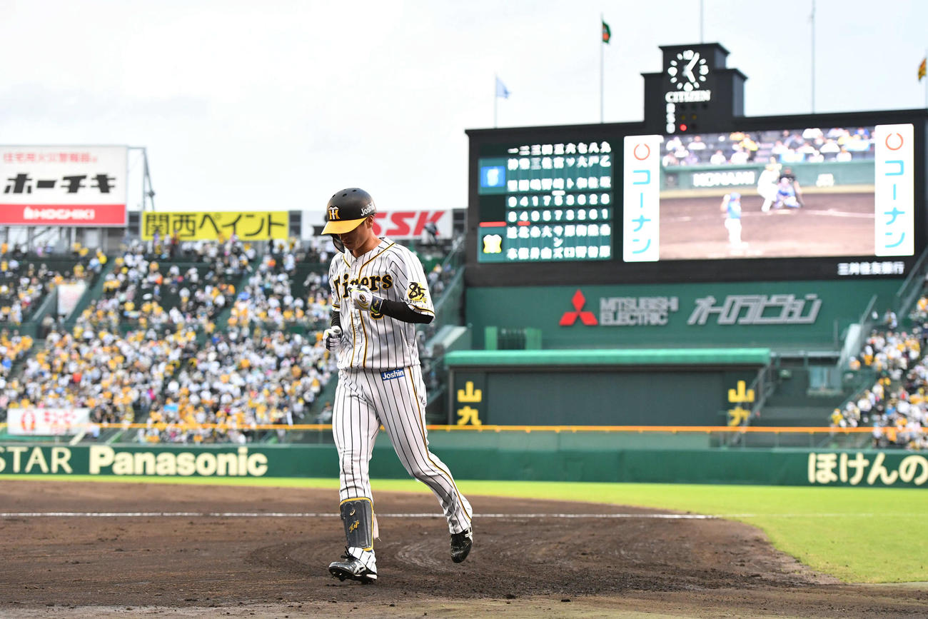 阪神対DeNA　9回裏阪神無死、二ゴロに倒れベンチへ戻る近本（撮影・岩下翔太）