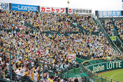 阪神対DeNA　応援する阪神ファン（撮影・清水貴仁）