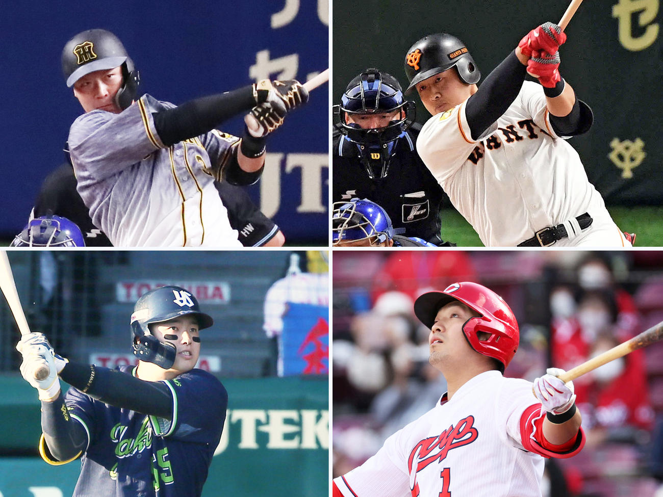 上段左から本塁打26本の阪神大山、25本の巨人岡本、下段左から23本のヤクルト村上、24本の広島鈴木誠也（10月18日現在）