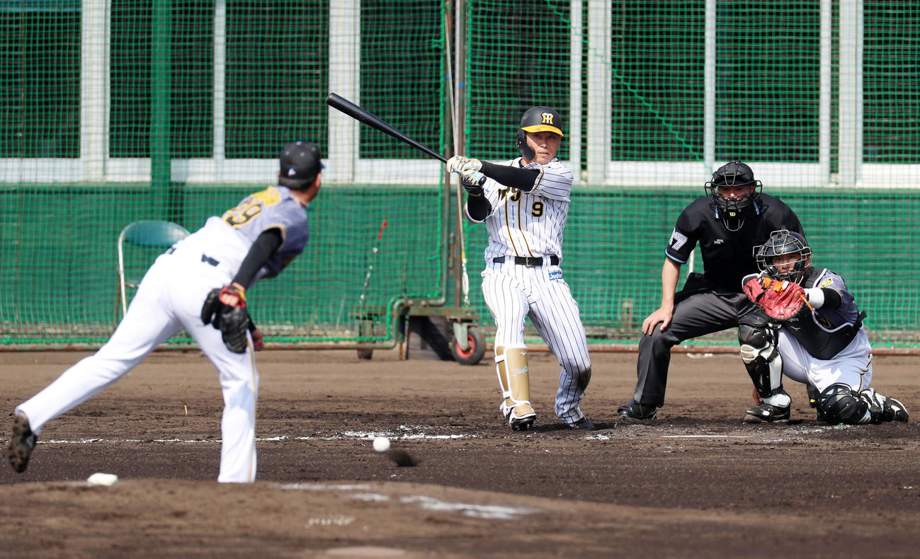 阪神紅白戦　3回裏白組1死、高山は高橋から中前打を放つ（撮影・加藤哉）
