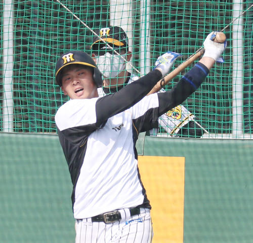 矢野監督の前で打撃練習する井上（撮影・加藤哉）