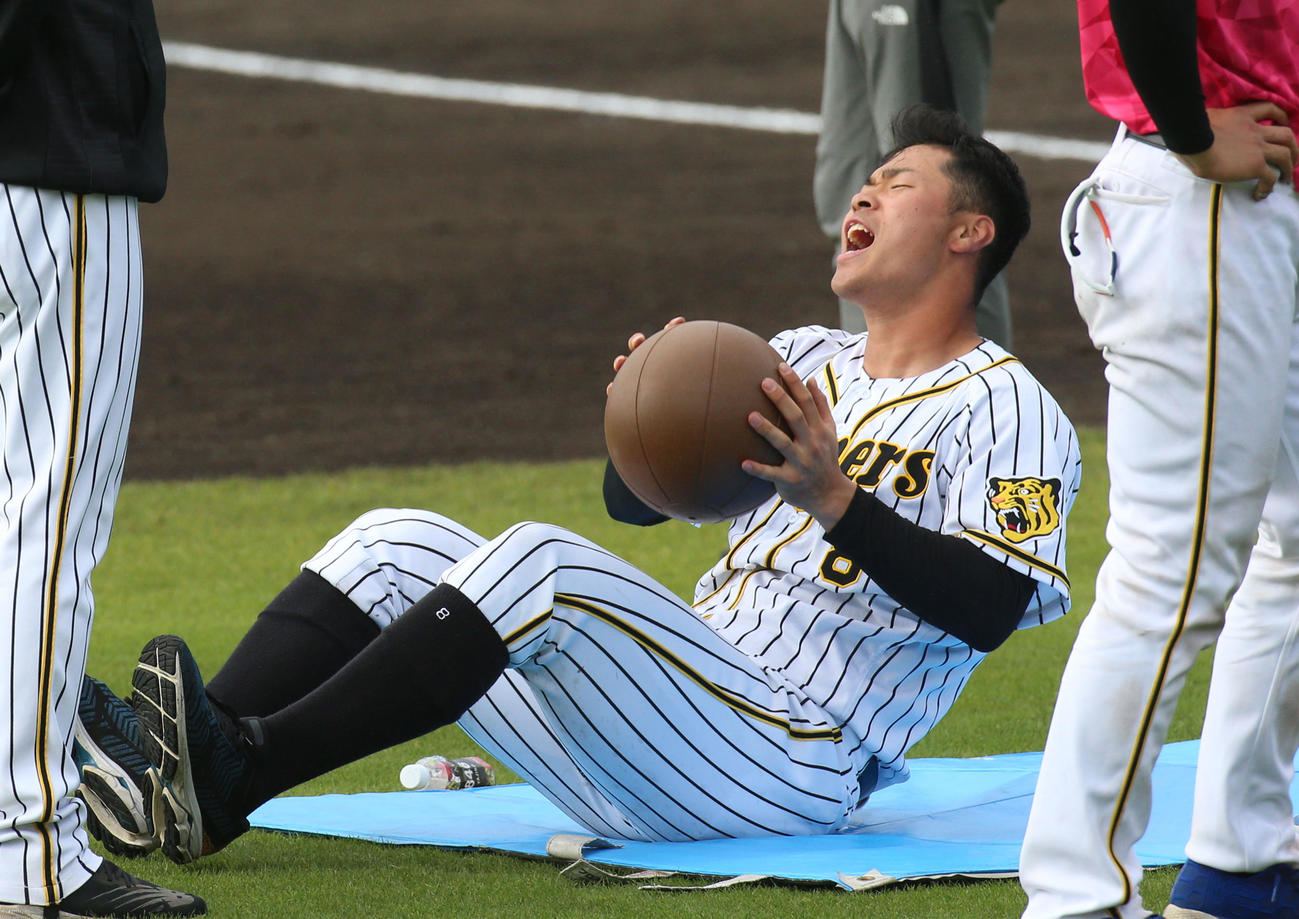 サーキットトレーニングで汗を流す佐藤輝明（撮影・上山淳一）