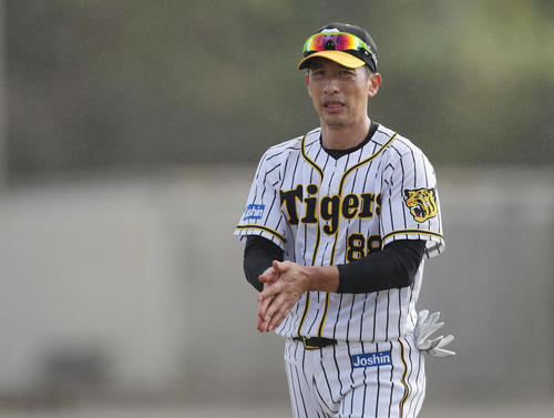 ノックを終えサブグラウンドから引き揚げる阪神矢野監督（撮影・前田充）