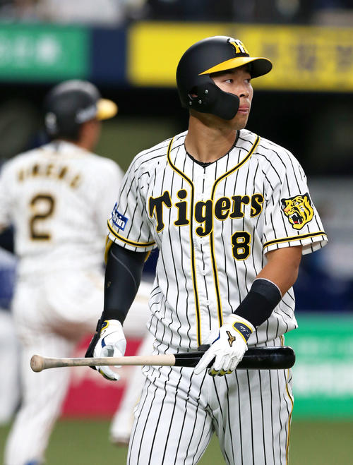 阪神対中日　8回阪神1死、佐藤輝は空振り三振に終わりベンチへ戻る（撮影・上山淳一）