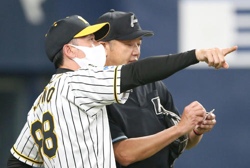阪神対中日　7回終了後、矢野監督は主審に選手交代を告げる（撮影・上山淳一）