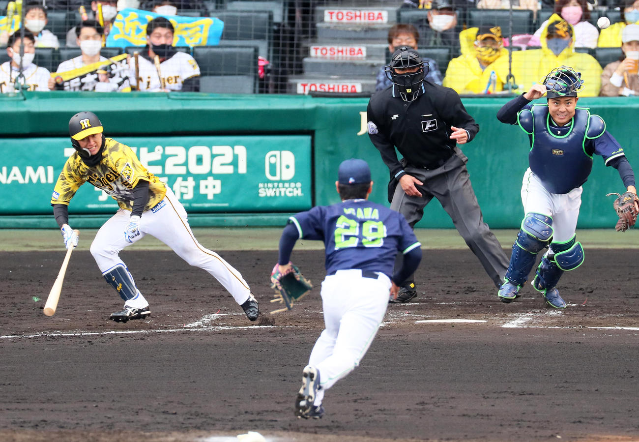 3回裏阪神無死一塁、近本は投前バント安打を決める（撮影・宮崎幸一）