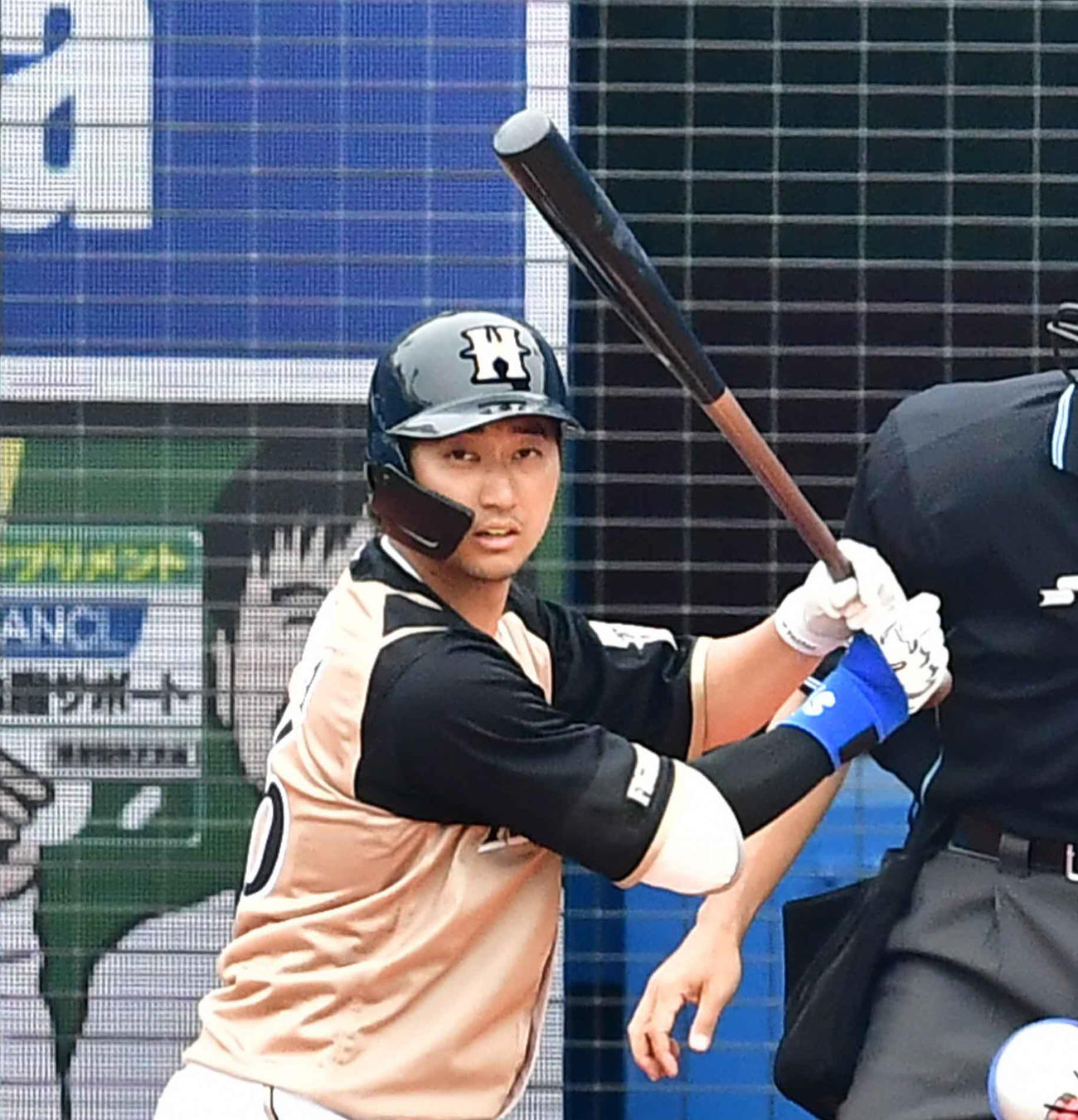 日本ハム浅間大基（2020年6月6日撮影）