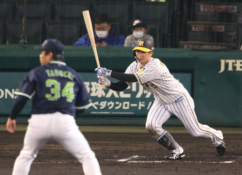 阪神対ヤクルト　6回裏阪神1死一塁、近本は右前打を放つ（撮影・上山淳一）