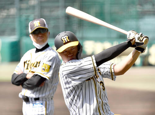 平田勝男2軍監督（左）のチェックを受けながら打撃練習をする大山悠輔（撮影・上田博志）