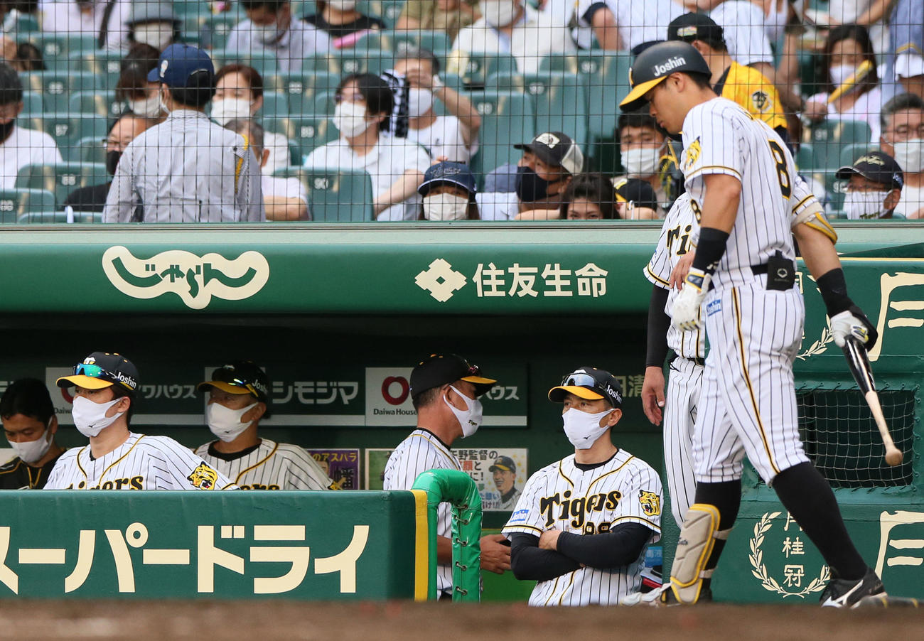 阪神対DeNA DeNAに連敗を喫し、矢野監督（右から3人目）はグラウンドを見つめる（撮影・上山淳一）