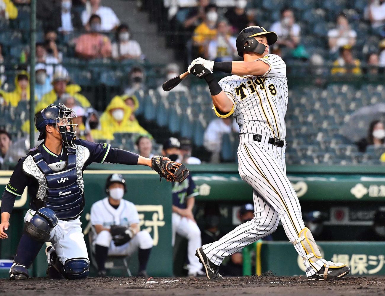 阪神対ヤクルト　2回裏阪神無死、三振に倒れる佐藤輝（撮影・上田博志）
