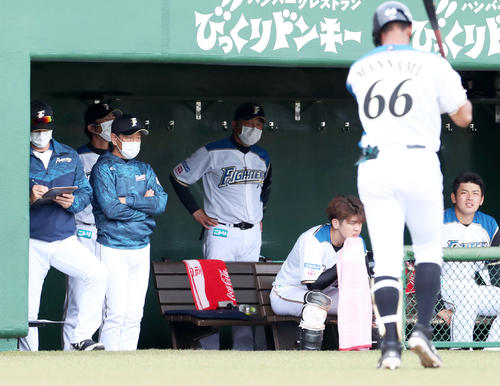 ベンチで険しい表情の日本ハム栗山監督（左から2人目）。右手前は三振に終わりベンチに戻る万波（撮影・佐藤翔太）