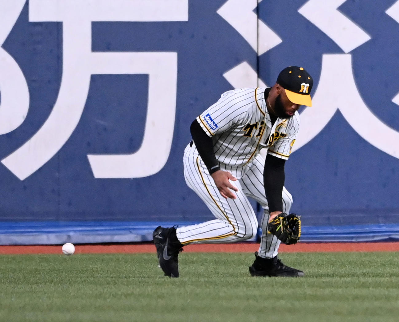 阪神対DeNA 6回表DeNA無死一塁、宮崎の左前打を後逸するロハス（撮影・前岡正明）
