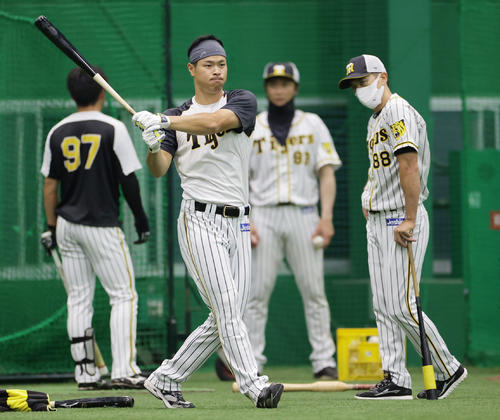 矢野監督（右）から打撃指導を受け、スイングを確認する佐藤輝（撮影・清水貴仁）