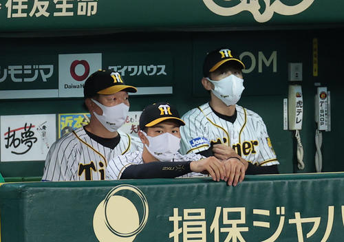 阪神対巨人　6回表、交代となりベンチから試合を見つめる阪神佐藤輝（中央）。右は矢野監督（撮影・前田充）