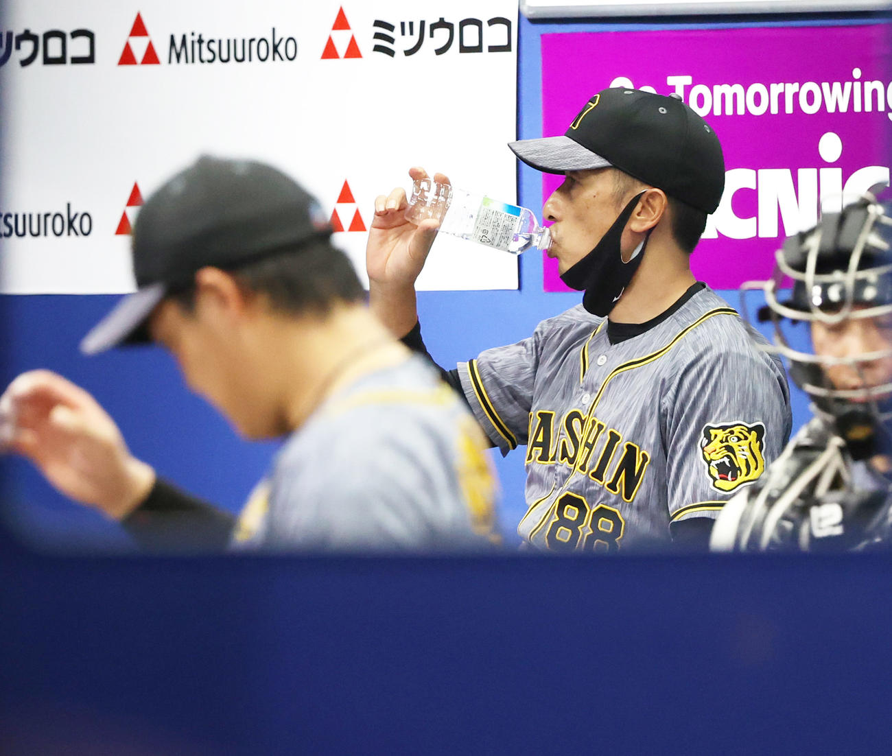 DeNA対阪神　水分補給する阪神矢野監督（撮影・清水貴仁）