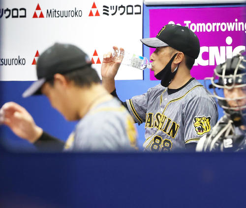DeNA対阪神　水分補給する阪神矢野監督（撮影・清水貴仁）
