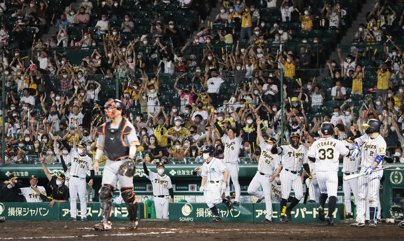 阪神対巨人　7回裏阪神2死一塁、糸井の適時二塁打で同点に追いつき大喜びするナインら（2021年9月5日撮影）