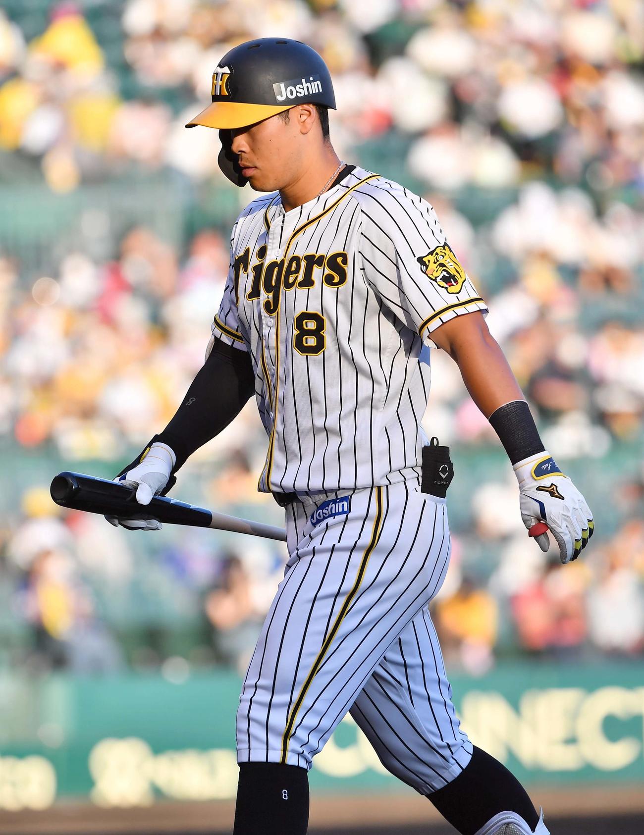 阪神対中日　8回裏阪神2死、二飛に倒れる佐藤輝（撮影・上田博志）