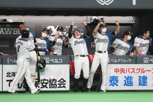 日本ハム対ロッテ　1回裏、生還した近藤を出迎える日本ハムナイン（撮影・黒川智章）