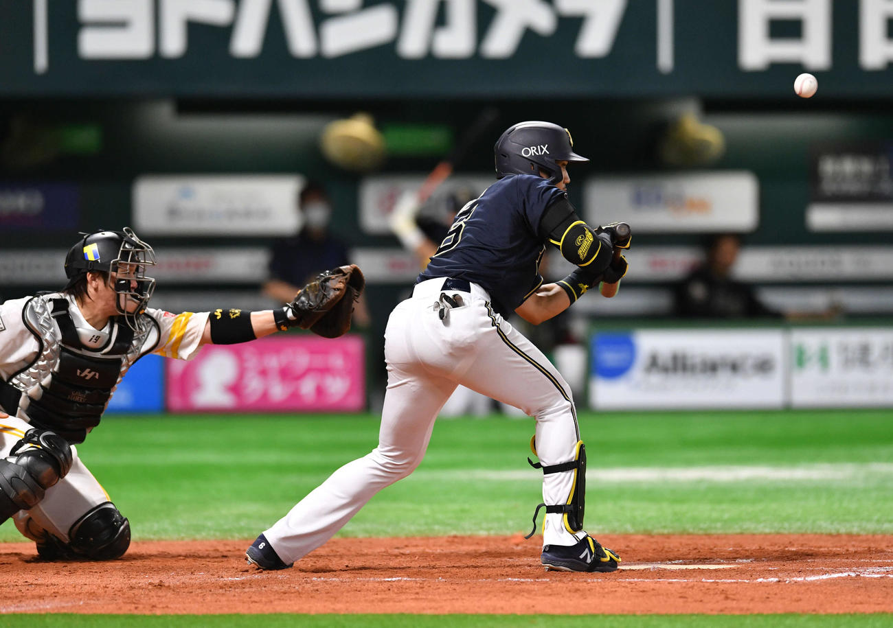 ソフトバンク対オリックス　8回表オリックス無死一、二塁、宗は犠打を試みるも捕ゴロに倒れる（撮影・岩下翔太）