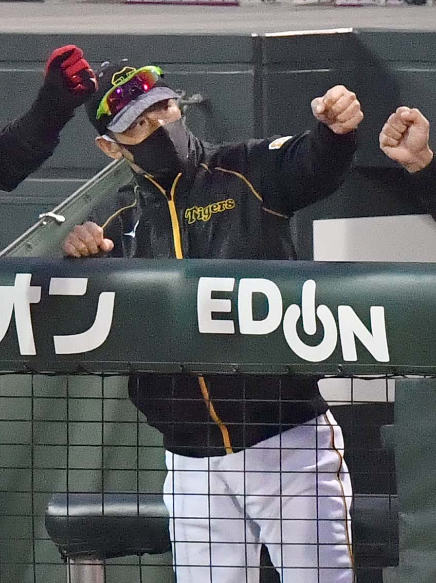 広島対阪神　広島に勝利しグータッチして喜ぶ矢野監督（撮影・上田博志）